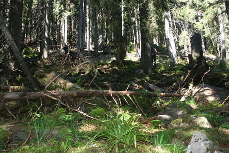2011.oktober.Teleki-Nagyköves csúcs
