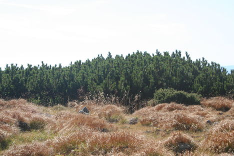 2011.oktober.Teleki-Nagyköves csúcs