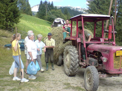 Az erős"ló"