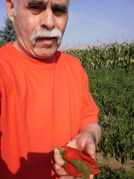 Harc, 2011. 08. 26-29