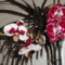 Phalaenopsis 007