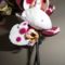 Phalaenopsis  015