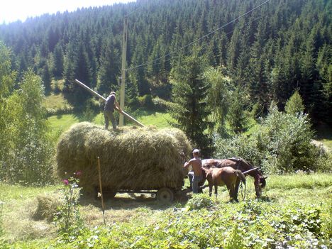 Rakják a szekeret