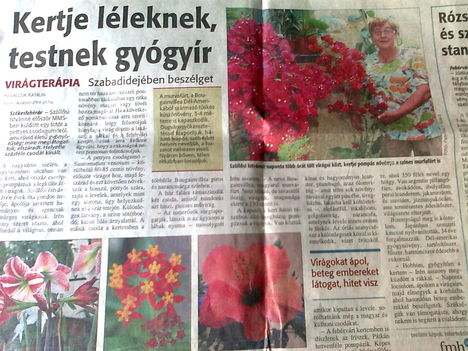 újságcikk a virágaimról...