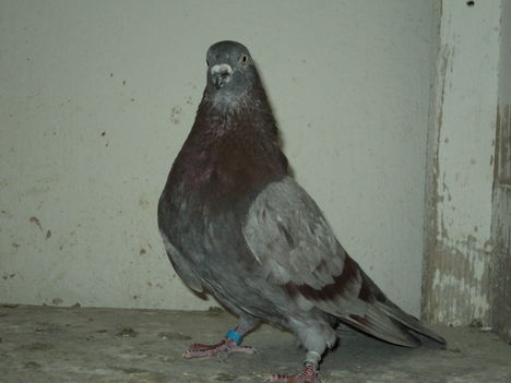 124