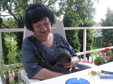 cica