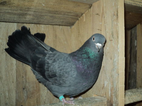 DSC01281
