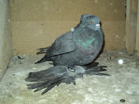 DSC01373
