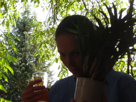 Én és az orchidea