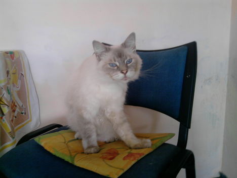 enni kéne
