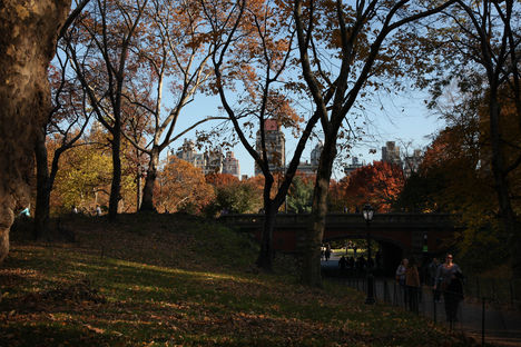 Őszülő park...5.