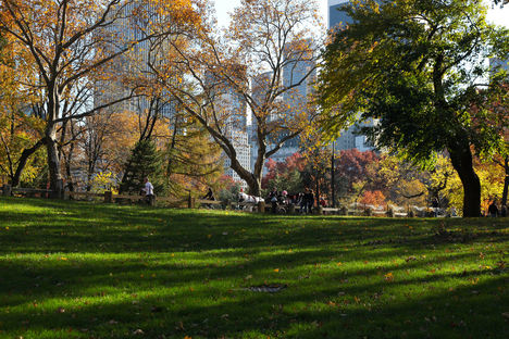 Őszülő park...