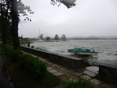 P5160010