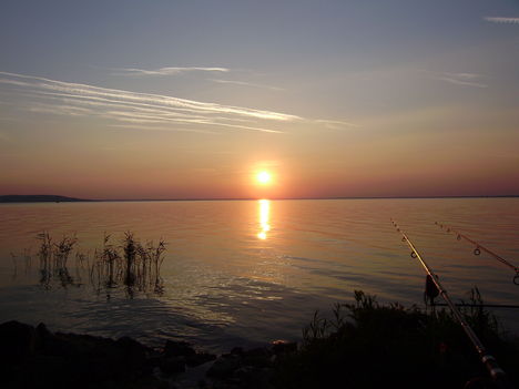 P6170078