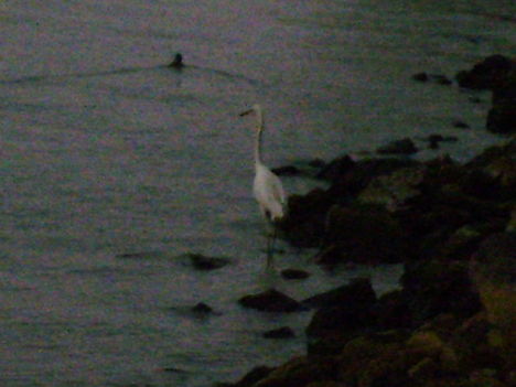 P7040039