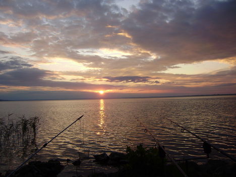 P7210019
