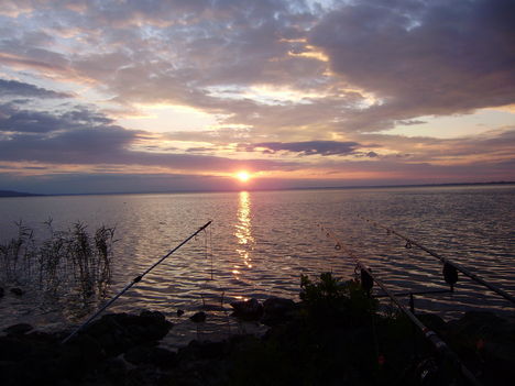 P7210021