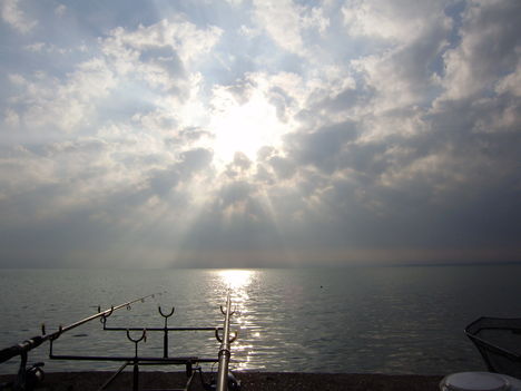 P8020013