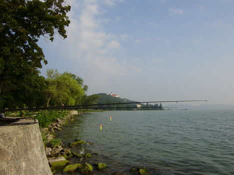 P8020014