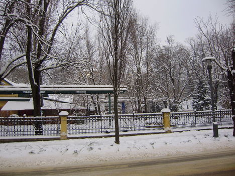 PC180019
