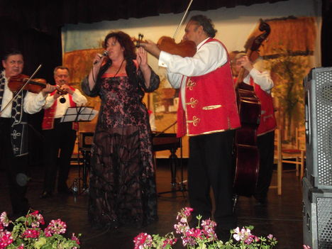 solt 2011 nov 26 007