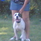 20080711(006)