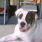 20080713(002)