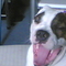 20080713