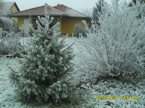 2010 szilveszter 004