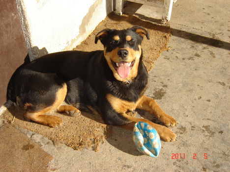 2011.02.06