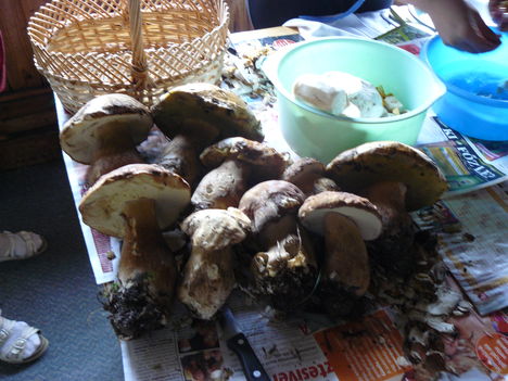 2011.májús....oktober