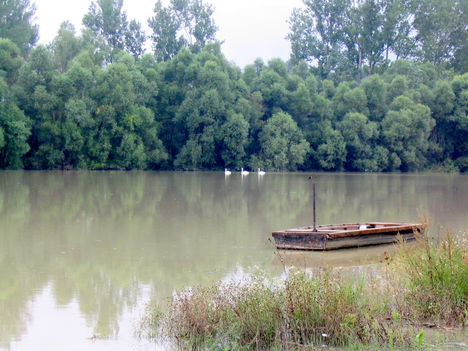 Ásványráró