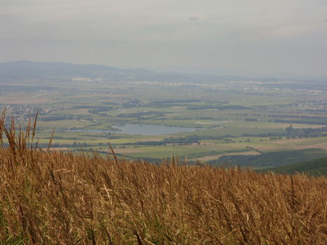 Borsó_hegy_08