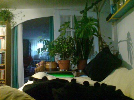 DSC09513