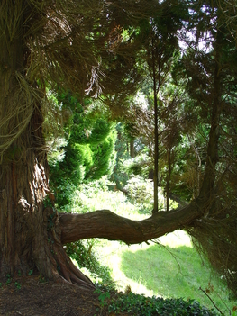 IRL 061 Powescourt