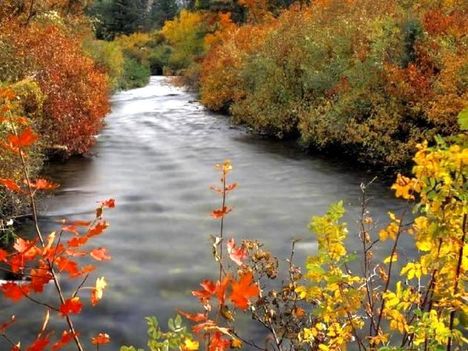 Palisades Creek in Autumn
