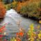 Palisades Creek in Autumn
