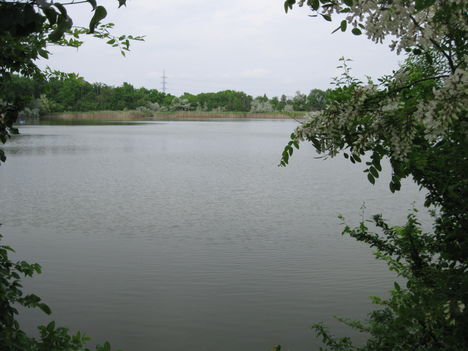 tó és környéke 2011 május 15 017