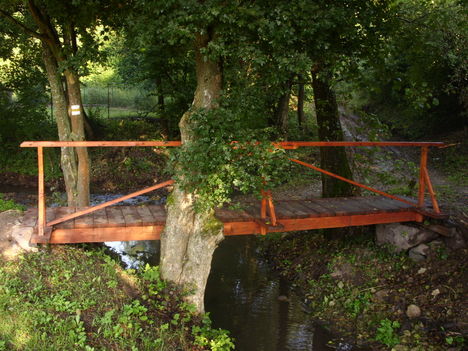 ZCS_003