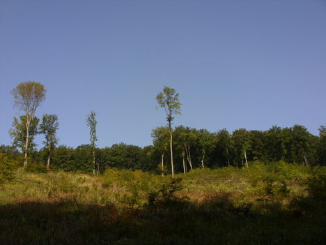 ZCS_005