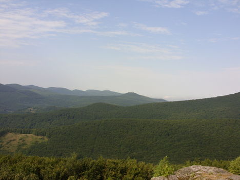 ZCS_018