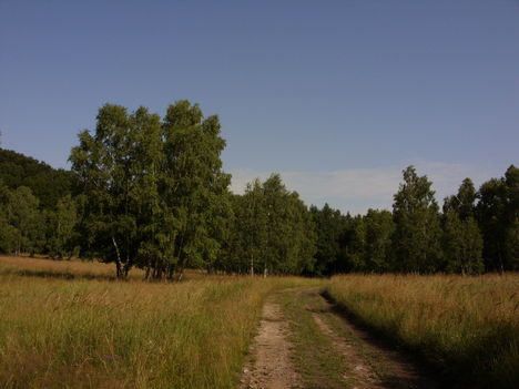 ZCS_027