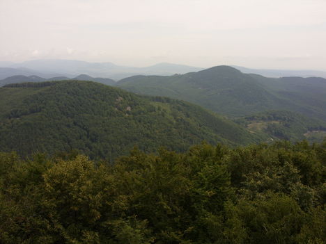 ZCS_033