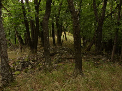 ZCS_046