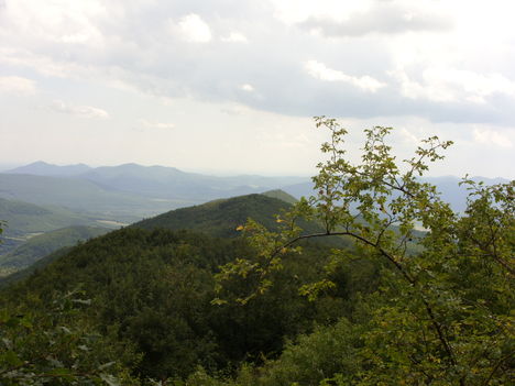ZCS_059