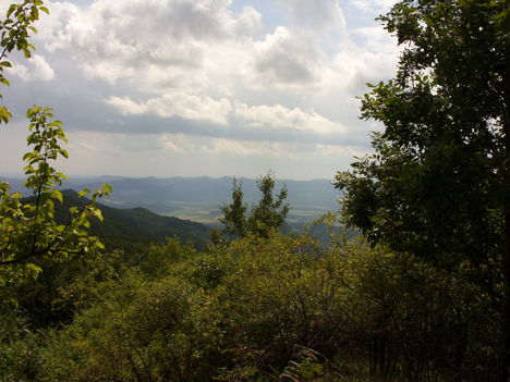 ZCS_060