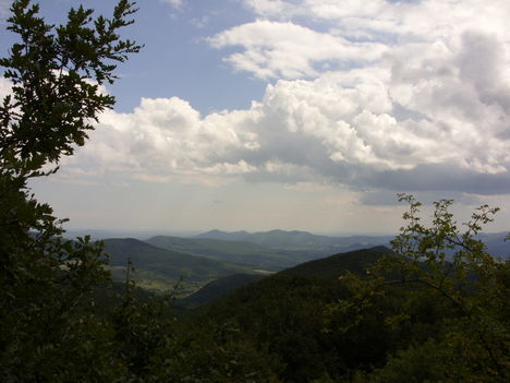 ZCS_062
