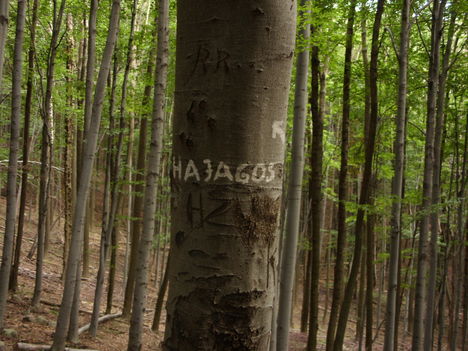 ZCS_072