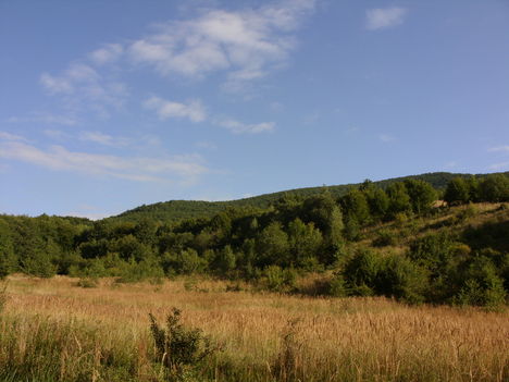 ZCS_075