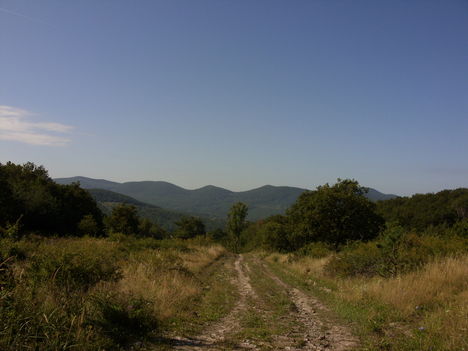 ZCS_086